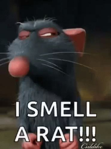 I Smell A Rat Rat GIF - I Smell A Rat Rat Rats - Discover & Share GIFs