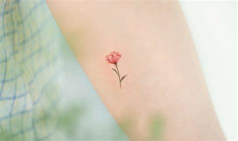 11+ Simple Carnation Tattoo Ideas You’ll Have To See To Believe!