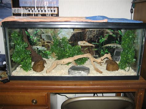 Diesels Cage Setup - Ball-Pythons.net Gallery | Snake terrarium, Ball python, Ball python cage