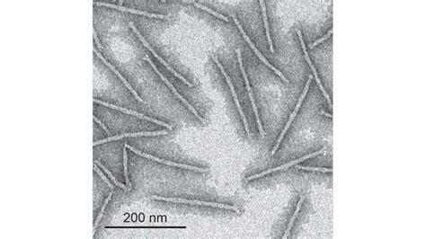 DNA origami enables fabricating superconducting nanowires