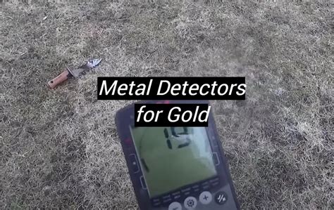 Top 5 Best Metal Detectors for Gold [January 2024 Review] - MetalProfy