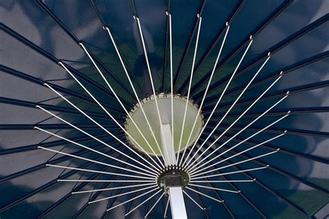 Blue Umbrella Photograph by Ivete Basso Photography - Fine Art America