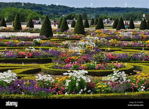 Gardens of The Roayl Château de Versailles in summer, near Paris Stock ...