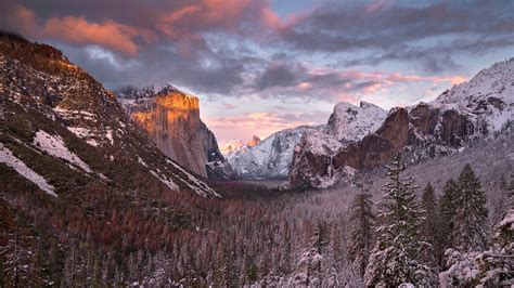 2560x1440 Yosemite National Park USA 4k 1440P Resolution ,HD 4k Wallpapers,Images,Backgrounds ...