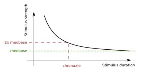 Measurement of action potential threshold, chronaxie and rheobase Flashcards | Quizlet