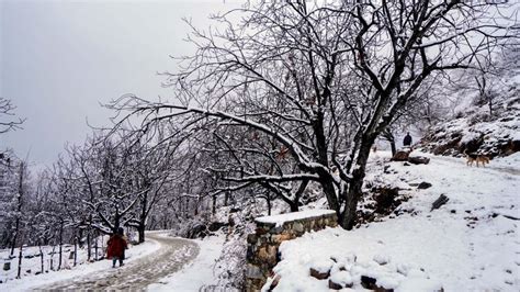 J&K: Heavy snowfall disrupts flight services in Srinagar, Kargil ...