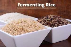 Easy Fermented Rice for Beginners + Health Benefits | The Healthy RD