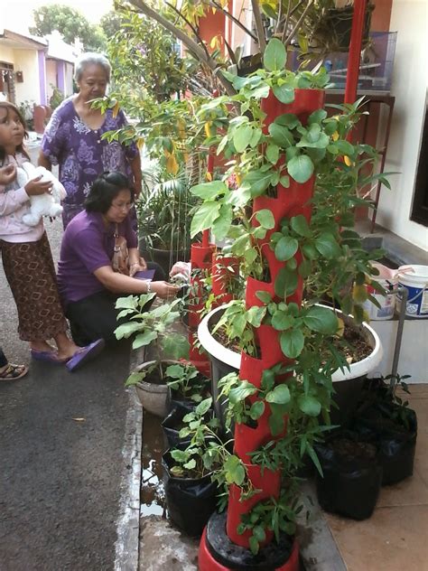 KUSTOPO BLOG: HORTIKULTURA SAYURAN ORGANIK