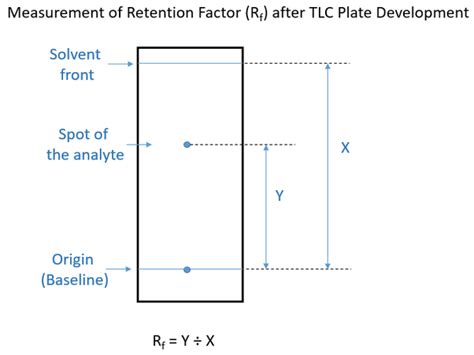 Where can I find the RF values for thin-layer chromatography for different plants? - Quora