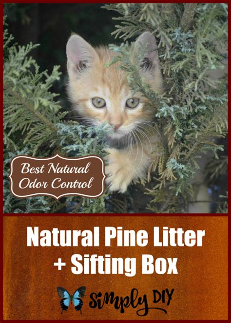 Natural Pine Cat Litter Box System | Pine cat litter, Litter box, Cats