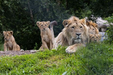 Fota Wildlife Park | Visit the East of Ireland | Ireland's Ancient East