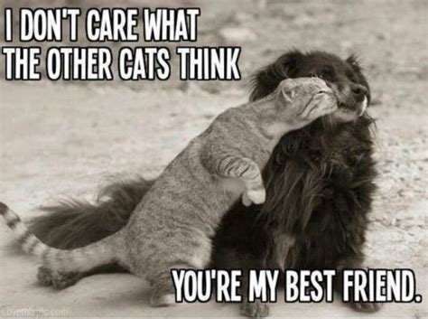 You're my best friend | Funny | Pinterest