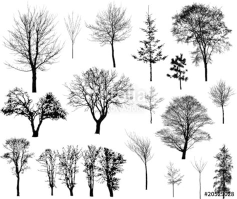 Winter Tree Silhouette Vector at Vectorified.com | Collection of Winter Tree Silhouette Vector ...