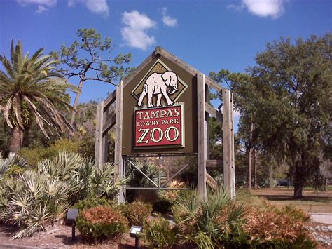 17 Surprising Facts About Tampa's Lowry Park Zoo - Facts.net