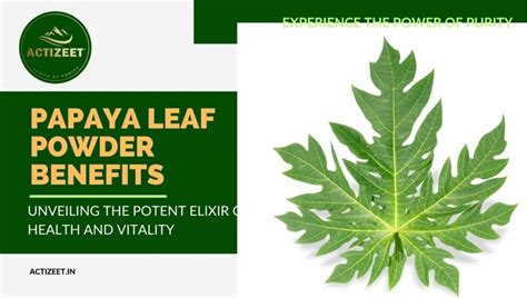 Papaya Leaf Powder: The Potent Elixir of Health