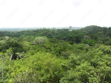 Pirámide Maya en Tikal Stock Photo | Adobe Stock