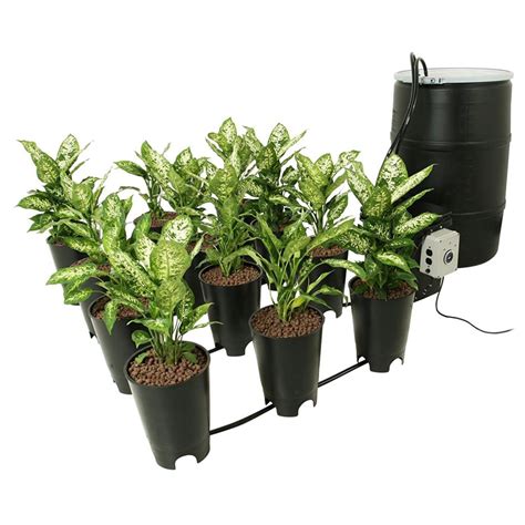 The 4 Best Hydroponic Systems for Marijuana & Other Plants