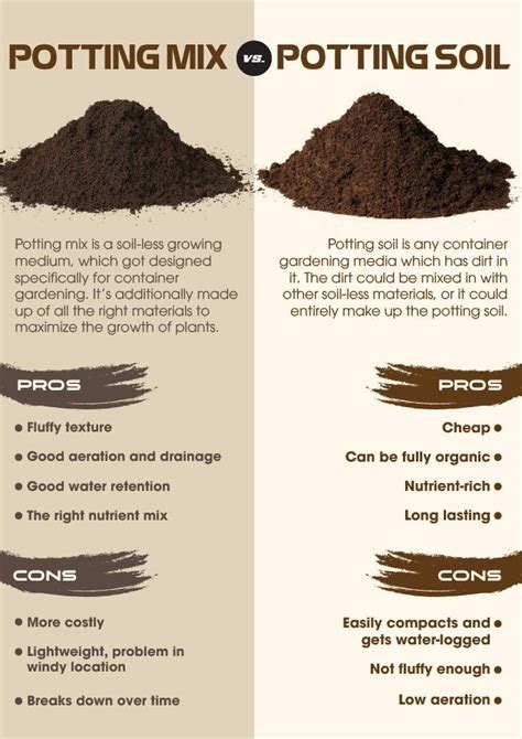 8 Best Potting Soil for Indoor Plants - (2020 Reviews & Guide) | Garden ...