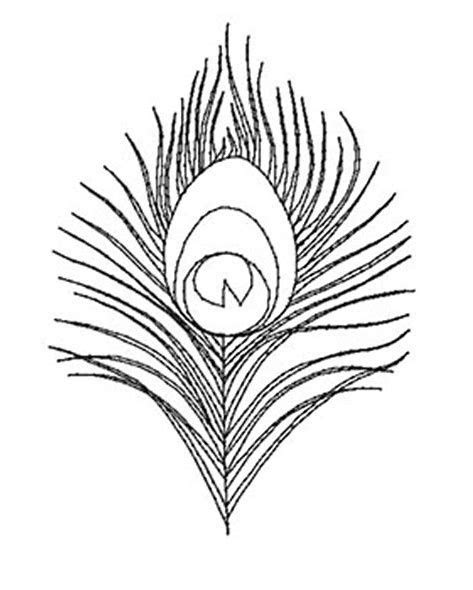 Image result for Peacock Feather Outline | South room | Peacock outline ...