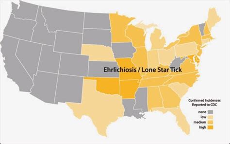 The Lone Star Tick - Renal Fellow Network