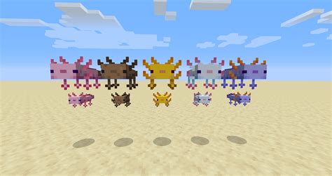 All the Axolotl variants from the new snapshot! - GamingMeme