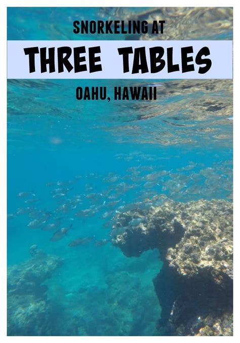 Complete Guide To Snorkeling At Three Tables On Oahu, Hawaii | Oahu, North shore oahu, Snorkeling