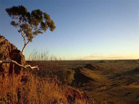 Tanami Desert | Australia travel, Natural landmarks, Nature