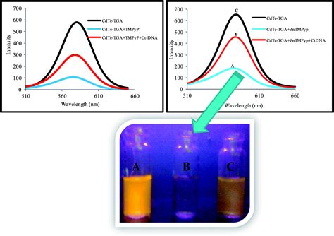 “Turn-on-off-on” fluorescence switching of quantum dots–cationic porphyrin nanohybrid: a sensor ...