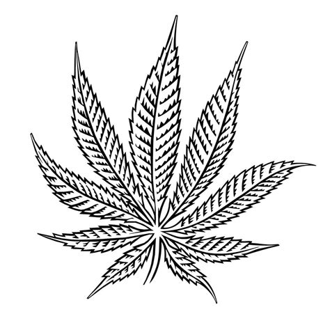 Marijuana Plant Drawing at GetDrawings | Free download