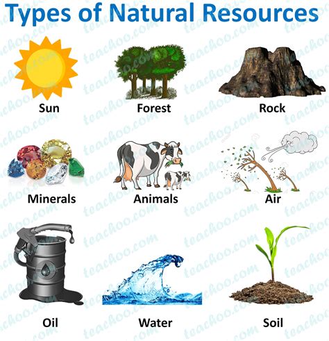 Types of Natural Resources - with Examples - Teachoo - Concepts