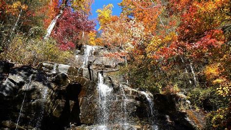 Finding Fall Foliage in South Carolina's State Parks | State parks, Fall foliage, South carolina