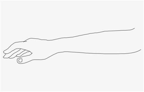 Right Arm Drawing , Free Transparent Clipart - ClipartKey