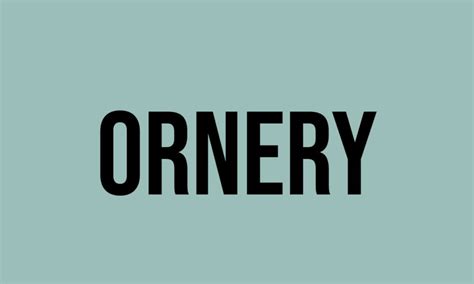 What Does Ornery Mean? - Meaning, Uses and More - FluentSlang