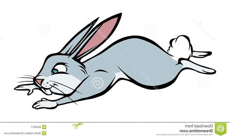 Rabbit Running Clipart | Free download on ClipArtMag