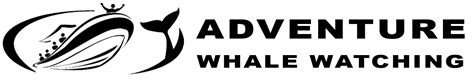 Book Now - Adventure Whale Watching San Diego