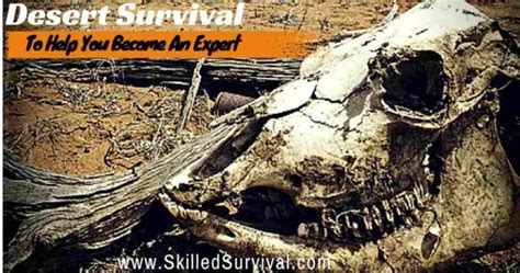 Best Desert Survival Tips To Avoid Deadly Mistakes