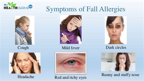 Fall Allergy Symptoms And Treatment