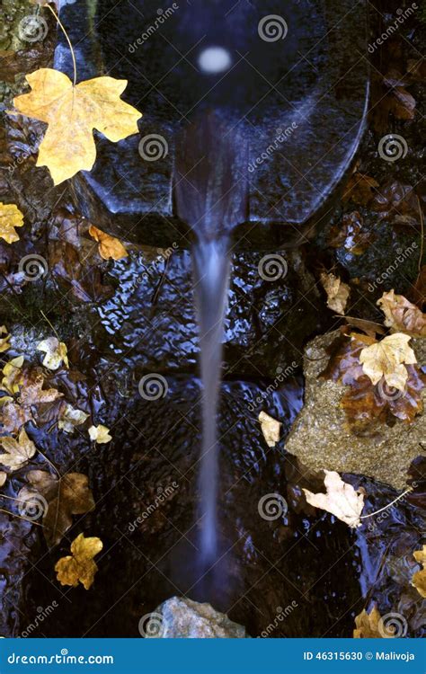 Wellspring stock photo. Image of flowing, watercourse - 46315630