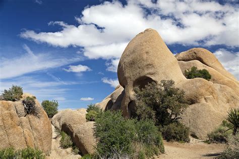 Exploring Joshua Tree National Park