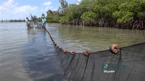 Seining in the Indian River Lagoon - YouTube