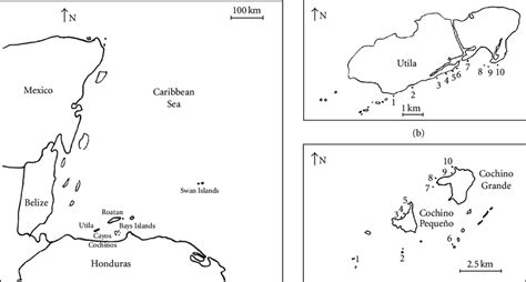 (a) Map of Caribbean showing location of Utila and Cayos Cochinos. (b ...