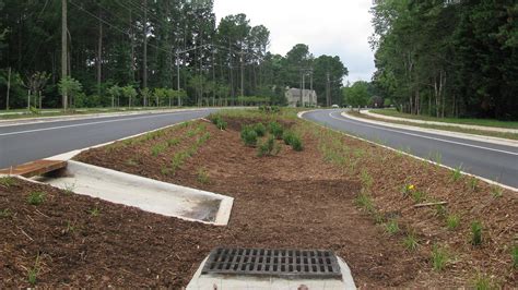 Bioretention Basin Design