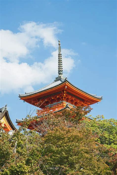 Exploring the History of Hiroshima, Japan 🏯🌸 - Tourist Eyes