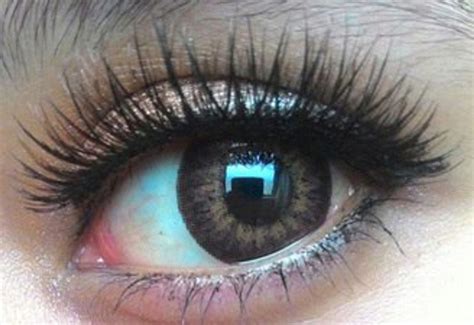 Barbie Puffy 3-Tones Hazelnut Brown Circle Lenses