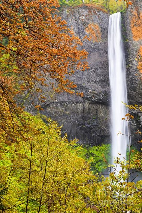 Autumn Waterfall - Oregon | Scenic waterfall, Oregon waterfalls, Waterfall