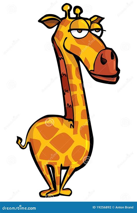 Funny cartoon of a giraffe stock vector. Illustration of isolated - 19256892