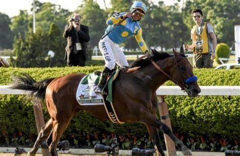 American Pharoah Wins the Triple Crown