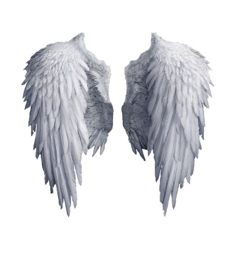 Wings PNG Images Transparent Free Download | PNGMart