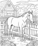 Realistic horse coloring Pages 27860463 Vector Art At Vecteezy sketch template