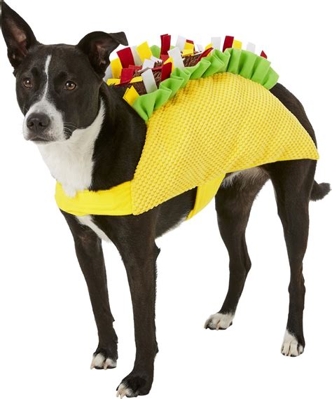 FRISCO Taco Dog & Cat Costume, Large - Chewy.com